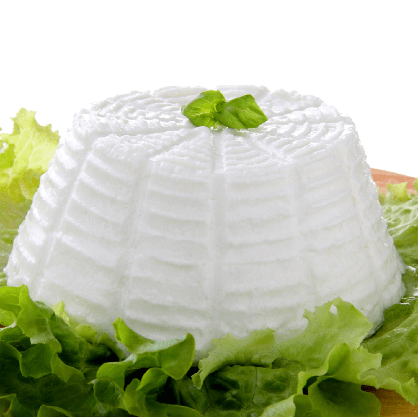 Ricotta fresca